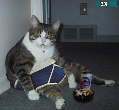 Евгений Крыловский