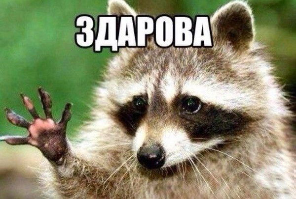 Виктория Авласенко