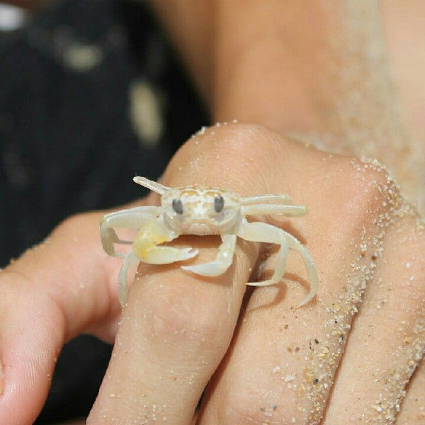 Никита Емасев