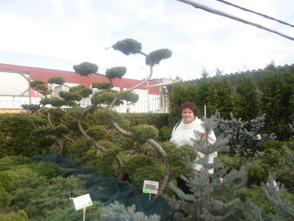 Ольга Бородулина(Прохорова)