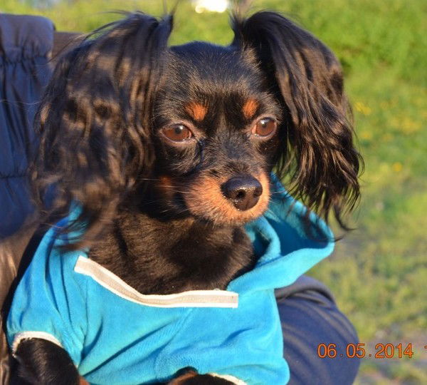 Натали Лобейко