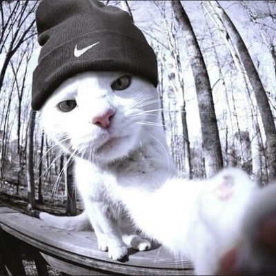 Миха Зеленских