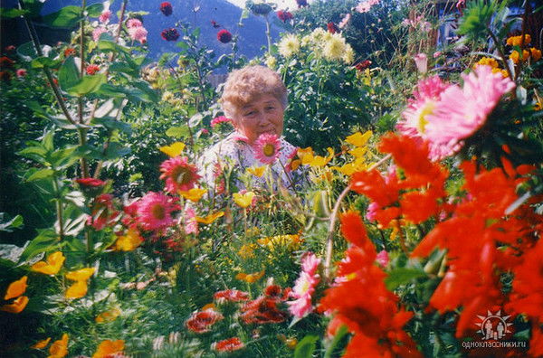 Наталья Кошева