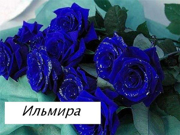 @@@ Ильмира Хакимова