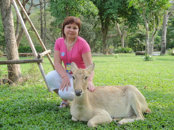 Светлана Колесникова