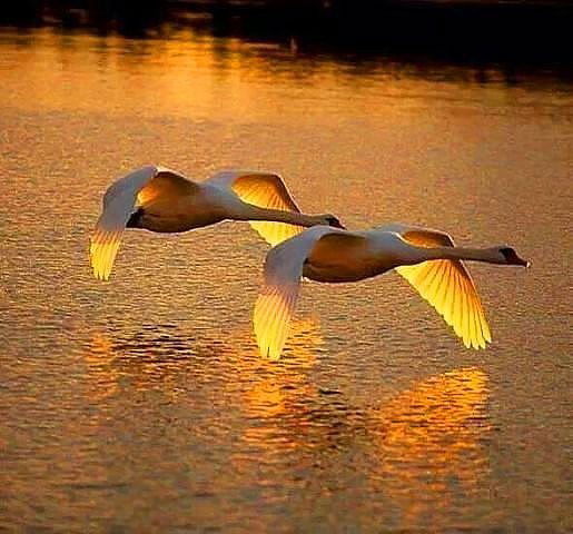 Татьяна Иванова