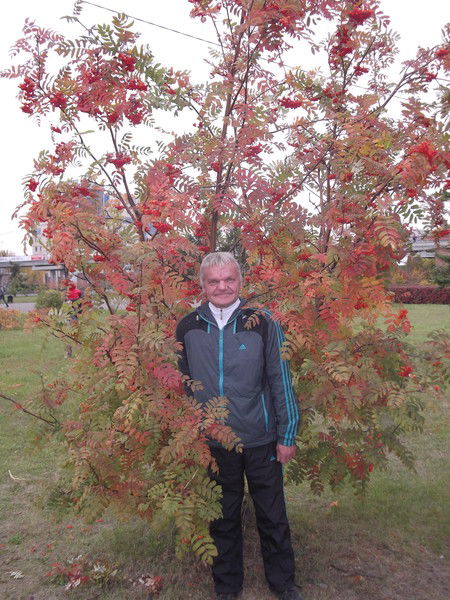 Андрей Стангель