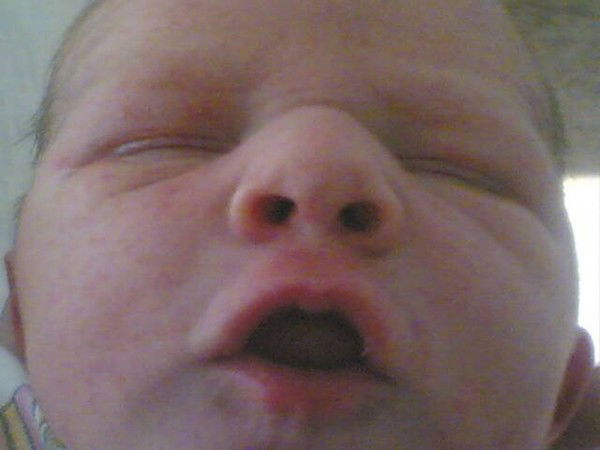 Александр Стеценко