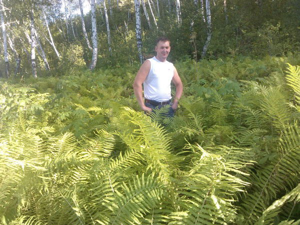 Евгений Кошечка