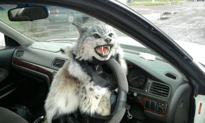 Ербол Темир