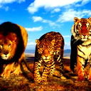 Владимир Козлов