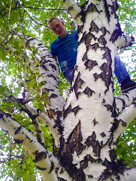 Тёма Косолапов