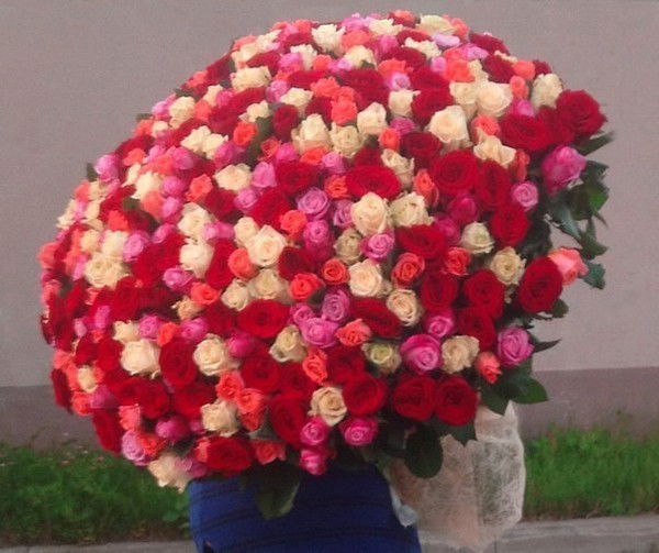 София Арифова