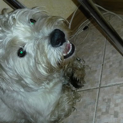 Ольга Максименко