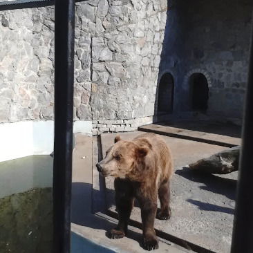 Балтика Семь