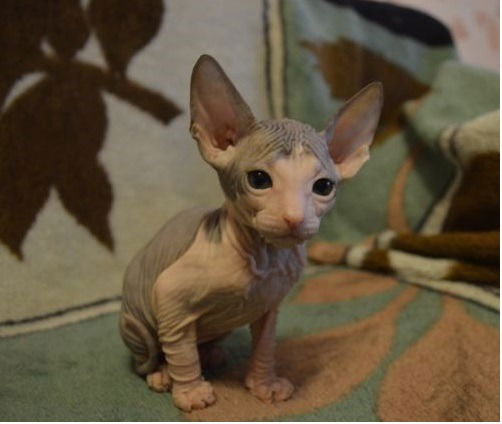 Оля Глушкова