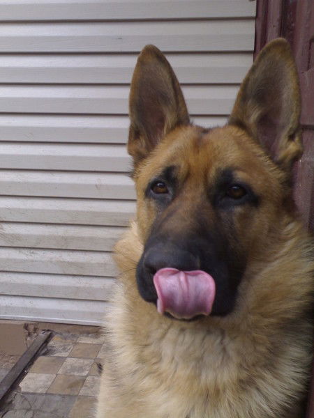 Владимир Симонов