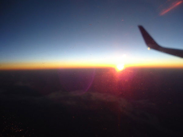 Лена Ватлина