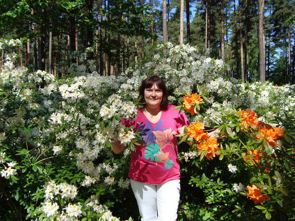 Нелли Фауст