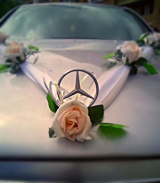 Илья Ковалевский