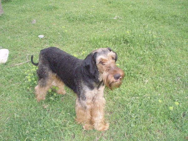 Эльдар Урманов