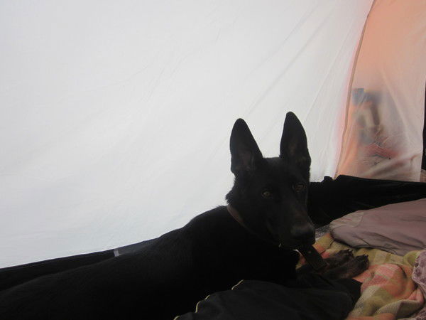 Андрей Маньков