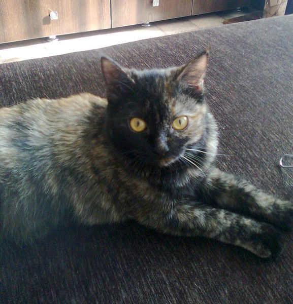 Ирина Терешкова