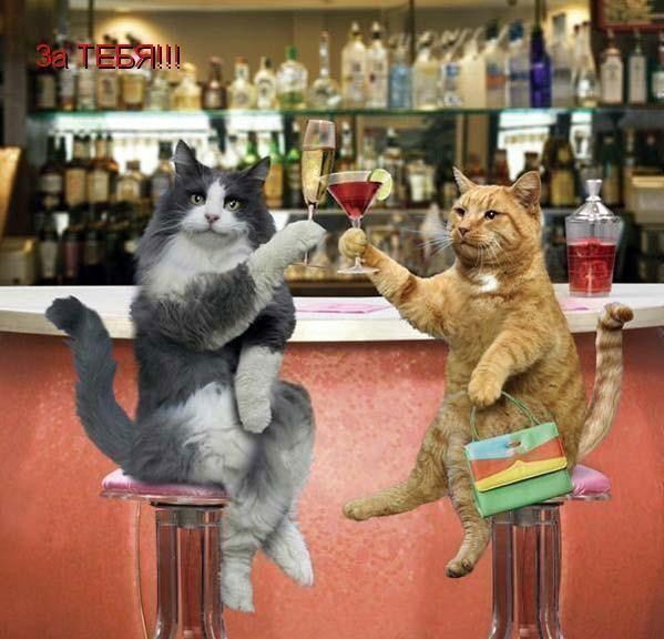 Ботагоз Идрисова