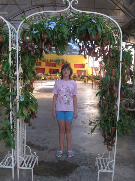 Ирина Прокофьева