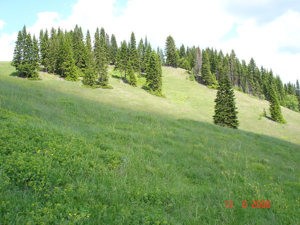 Андрей Козлов