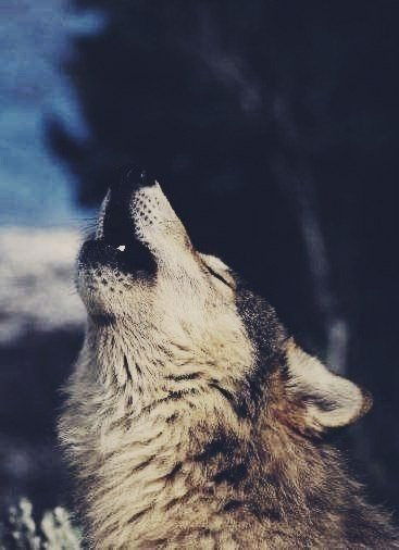 Джахар Батыров