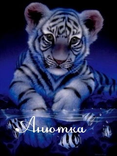 Анна Волкова