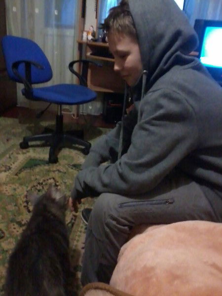 Виталтй Грибок