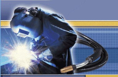 Svarka22.ru Пегашев