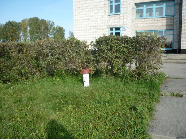 Нечаевская Библиотека