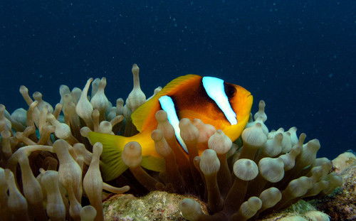 Людмила Кузнецова