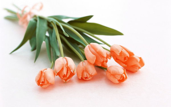 Зилола Таджиназарова