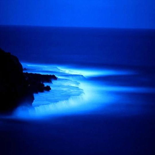 Ольга Бойчук (Кравцуненко)