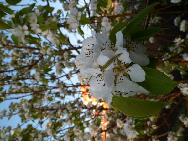 Юрий Золотарёв