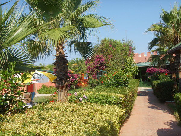 Наталия Кожевникова