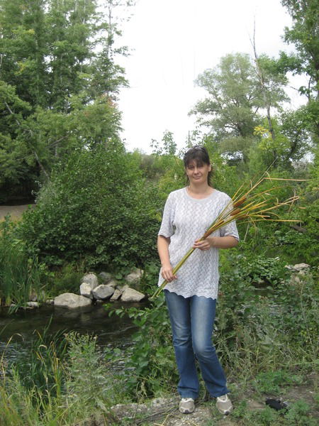 Елена Новикова