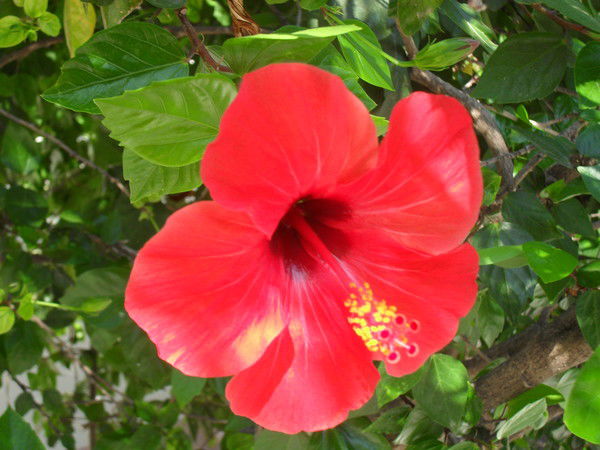 Оксана Билетина