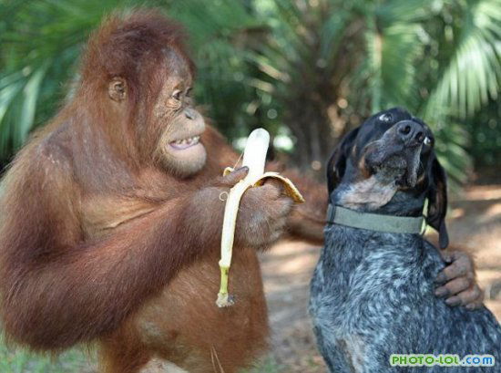 Геннадий Редькин