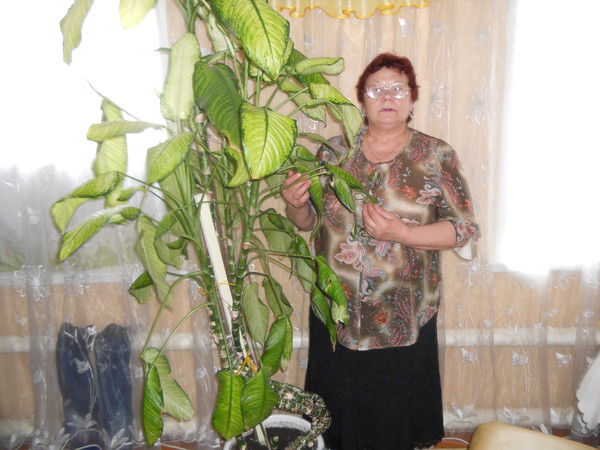 Наталья Стучилина