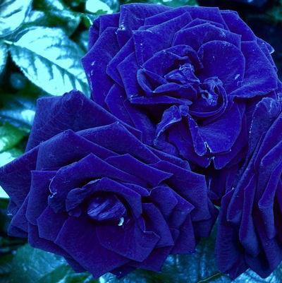 Карина Семёнова