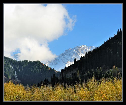 Татьяна Федоренко