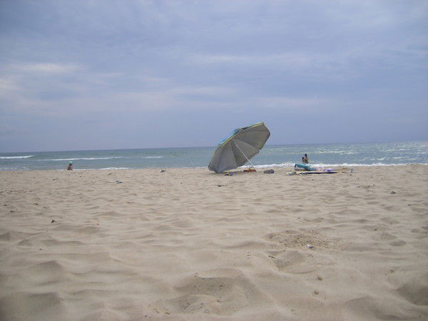 Елена Говорова