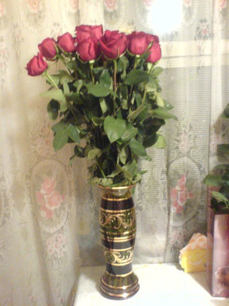 Наташа Василевская