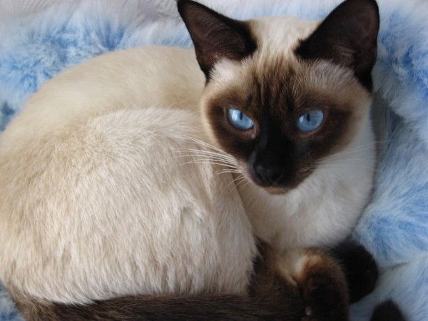 Людмила Игнашова