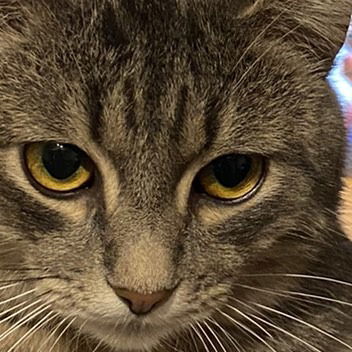 Ольга Маляренко